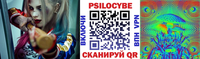 Галлюциногенные грибы Psilocybe Коряжма